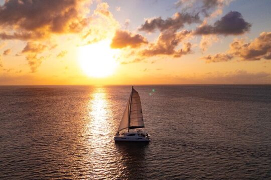 Luxury Sunset Sailing Cruise in the Riviera Maya with Light Dinner and Open Bar