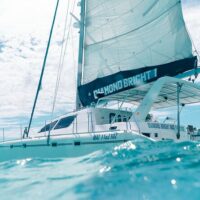 Catamaran Cruises