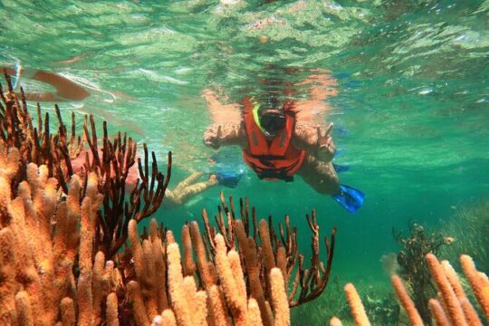 ATV COMBO CHALLENGE (reef snorkel, atv, ziplines, cenote, lunch and transport)