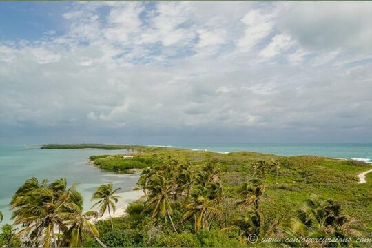 Day Trip to Isla Contoy