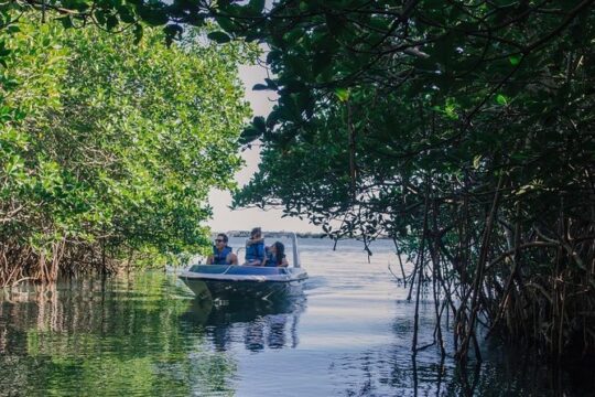 Cancun Mangrove Channel Adventure with Transportation