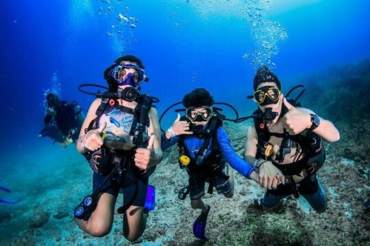 3 Day Scuba Diving Experience with 4 Immersion Courses