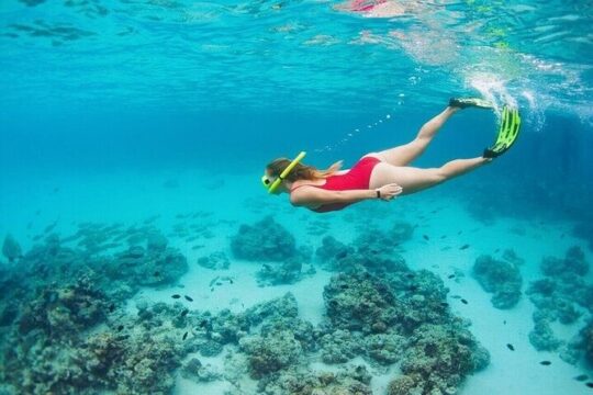 Fantastic Snorkeling Adventure from Puerto Morelos