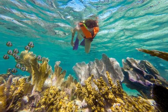 Puerto Morelos Reef Snorkeling & Beachside Lunch