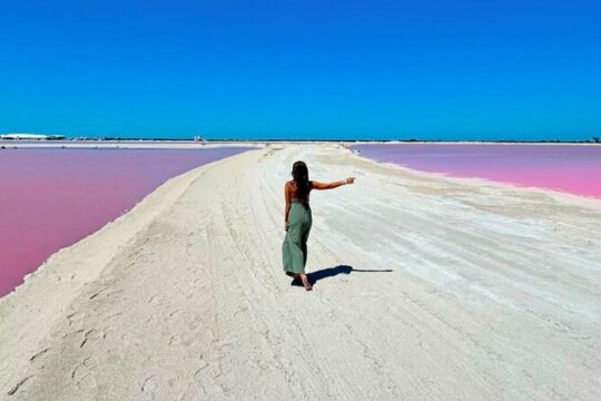 Full Day Tour in Rio Lagartos and Coloradas with Lunch