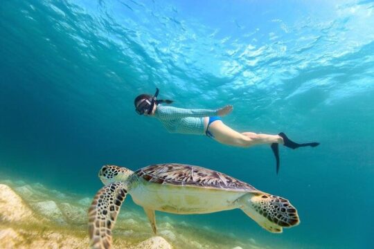 Snorkel with Turtles in Akumal & Tulum Ruins from Cancun & Playa del Carmen