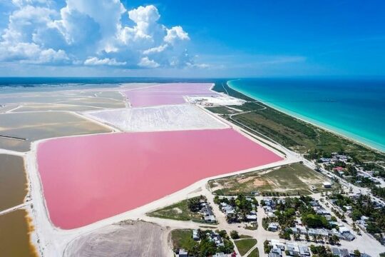 Natural Pink Lake - Las Coloradas Tour from Cancun and Playa del Carmen