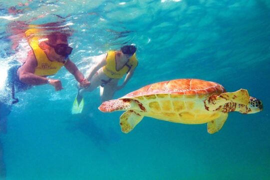 Cancun Best Deal 3x1: Snorkeling, Zip Lines & Rappel