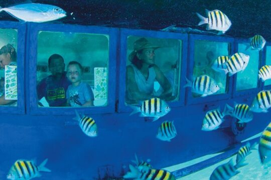 Hop-on Hop-off City Tour Cancun plus Submarine or Bodyboard Experience