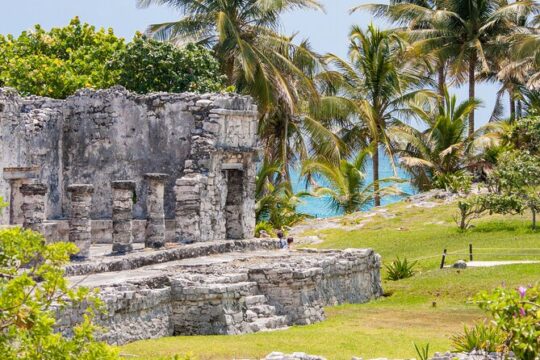 Magical adventure to Tulum, a giant sculpture and cenotes. Lunch included