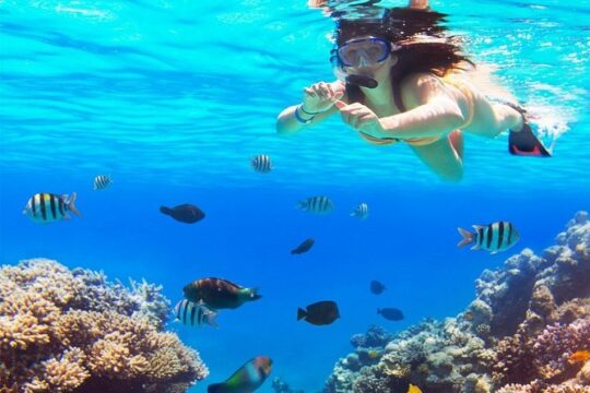 Live this unique snorkeling experience. El Cielo in Cozumel a magical tour.