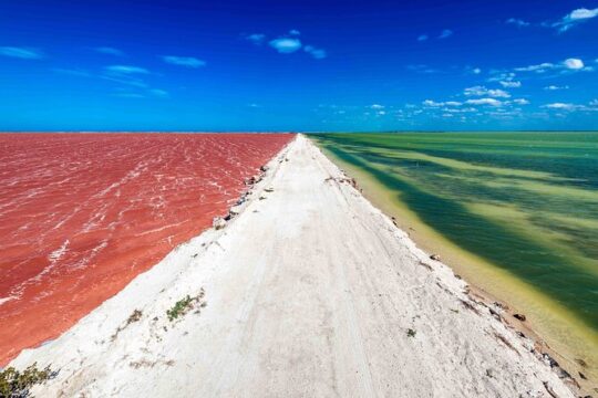 Full-Day Rio Lagartos and Las Coloradas Tour with Lunch