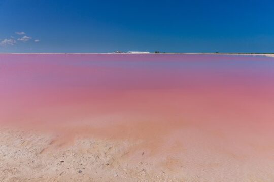 Private tour at Chichen-Itza, Ik-Kil, Rio Lagartos, and Las Coloradas with Lunch