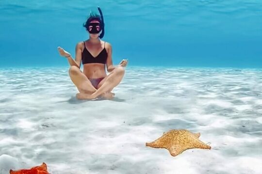 Tour Cozumel Snorkel Experience! Lunch & Transportation only from Cancun