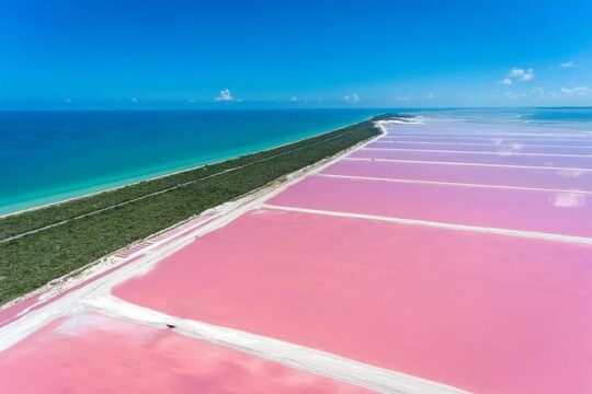 Colonial City of Valladolid, Pink Waters of Las Coloradas and Pink Flamingos