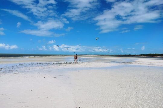 Holbox Beaches: Punta Mosquitos & Cocos from Cancun