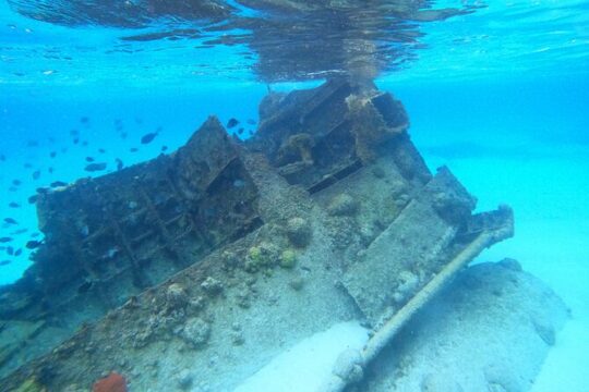 Reef and Sunken Ship Snorkeling Experience in Cancun