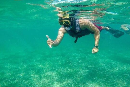 Basic Snorkel Experience In Cancun