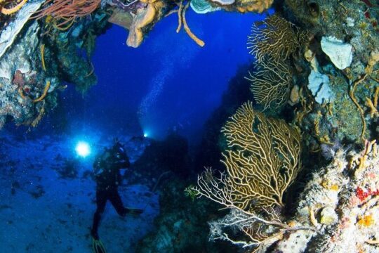 Underwater Museum & Reef Dive in Cancun
