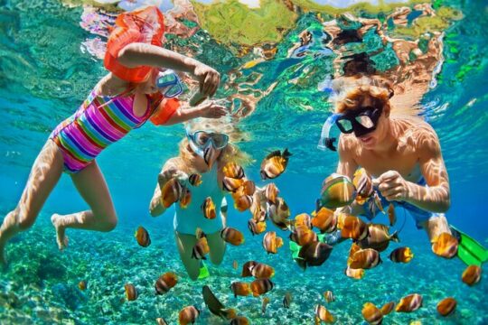 Nizuc Reef Snorkel Experience