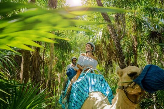 Camel Caravan Expedition and Beach Club with Transportation In Riviera Maya