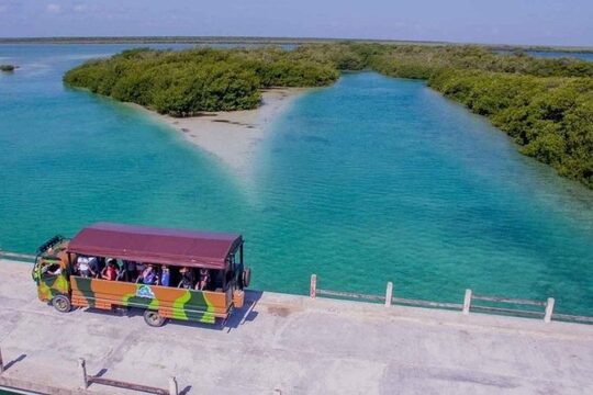 Nature Beauties at Sian Ka'an Biosphere! Round Transportation From Riviera Maya