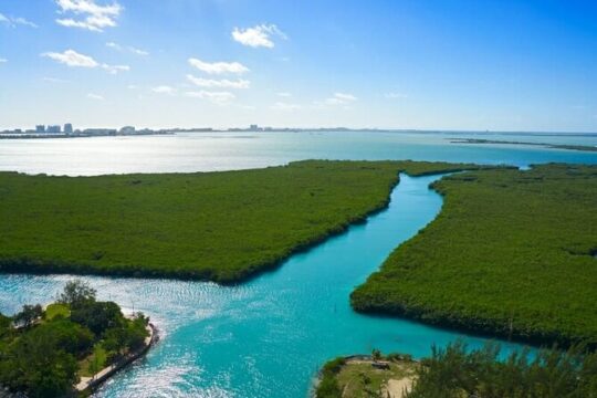 Cancun Jungle Tour with Speedboat and Snorkeling