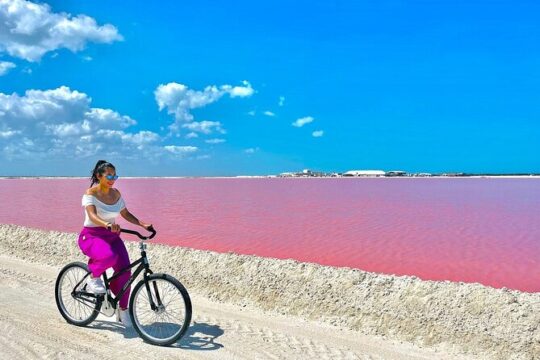 High-End Tour at Las Coloradas & Rio Lagartos! From Riviera Maya