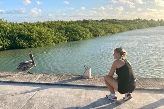 Amazing Tour in Sian Kaan biosphere with Transportation from Cancún!