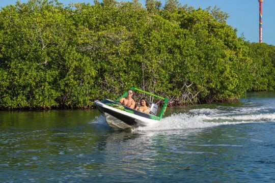 Boat Ride through Laguna Nichupte and the Mangroves of Cancun