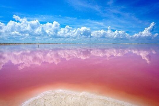 Las Coloradas and Río Lagartos Private Tour