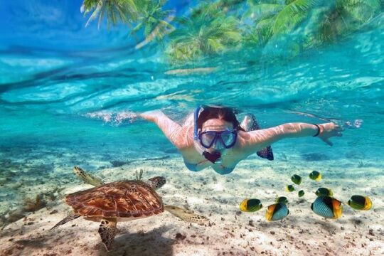 Guided Visit to Puerto Morelos with Snorkeling Included