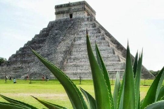 Coba and Chichen Itza Private Tour and, Cenote