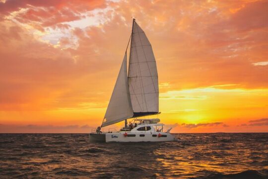 Luxury Sunset Sailing Cruise in Cancun with Light Dinner and Open Bar