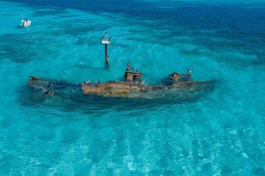 Cancun Snorkeling Adventure: Turtles, Reefs & Underwater Wonders