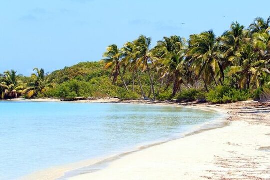 Explore Contoy Island