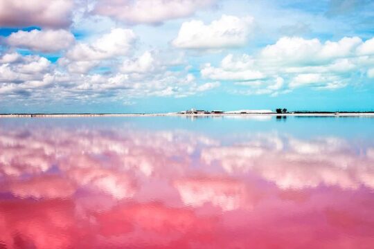 Las Coloradas Exploring Tour