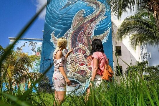Cancun Private Street Art Tour
