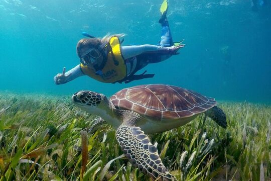 Amazing Snorkeling Experience in Cancun