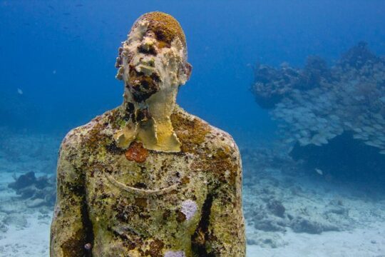 UNDERWATER MUSEUM CANCUN Diving for Certified 2 Dives - Experience with Ticket