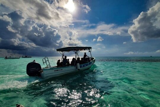 Cozumel El Cielo Boat Tour from Cancun with Transfer