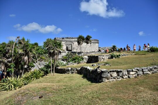 5x1 Deluxe:Tulum,Coba,Cenote,5 Avenue Playa delCarmen from Cancun