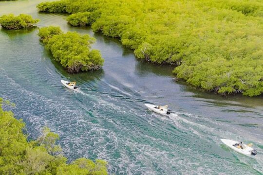 Jungle Tour . Lagoon, Mangrooves & Snorkel for Couples