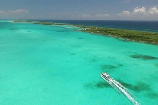 Unlimited Catamaran Adventure! Open Bar, Party & Transportation From Cancun