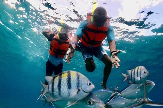 Nature Adventure! Cozumel Clear Boat From Cancun