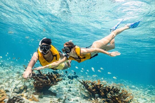 5 in 1 Snorkeling Boat Experience in Cancun