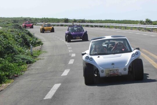 Discover the Best Buggy Adventure in Cozumel from Riviera Maya