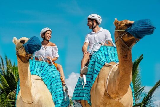 Half-Day Parasailing and Camel Caravan Tour in Maroma Beach