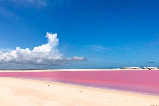 Wonderful Tour Las Coloradas & Buffete only from Cancun