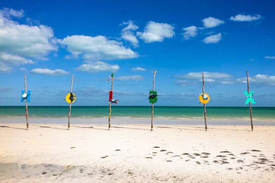 Holbox Tour Jewel of the Caribbean Sea! Round Transportation from Cancun